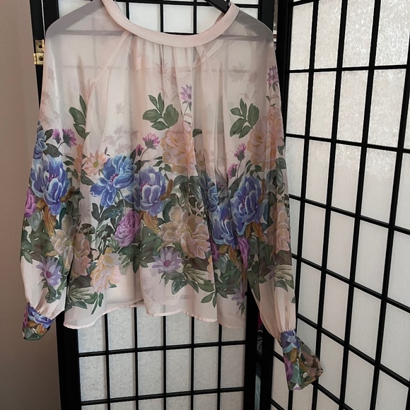 Zara sheer floral blouse - Picture 6 of 8